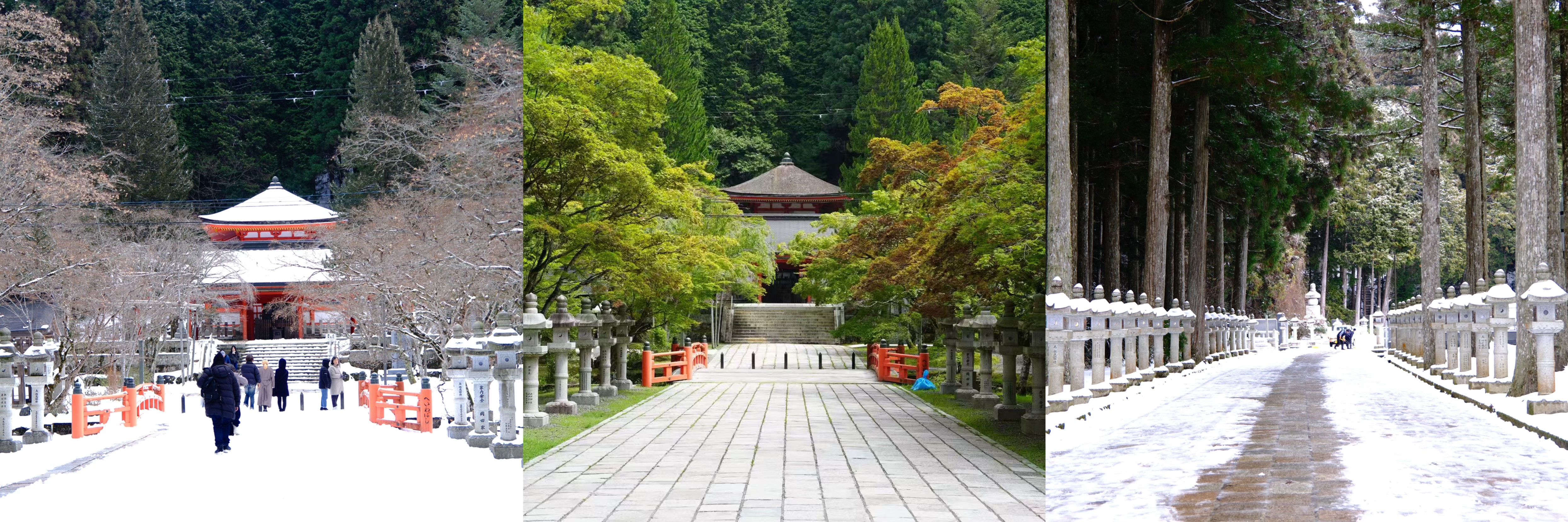 from clipboard from clipboard